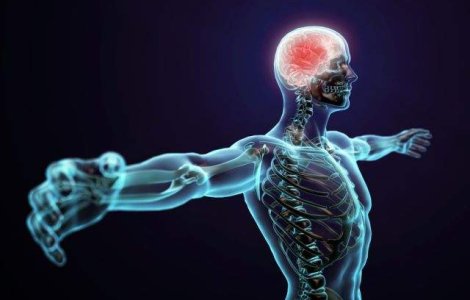  Top  Inca 10 lucruri UIMITOARE pe care nu le stiai despre corpul uman