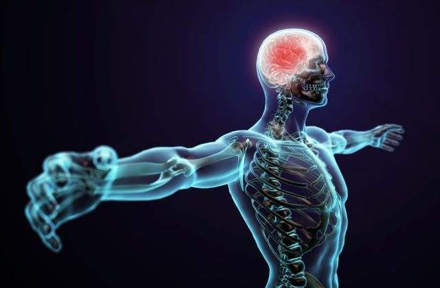 Mecanismul PERFECT! Inca 10 lucruri UIMITOARE pe care nu le stiai despre corpul uman