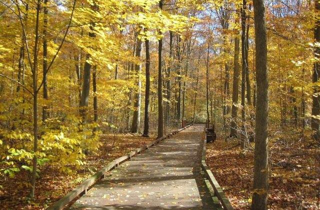 Personalitatea oamenilor, influentata de anotimpul in care s-au nascut