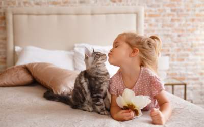 La ce să te aștepți când...