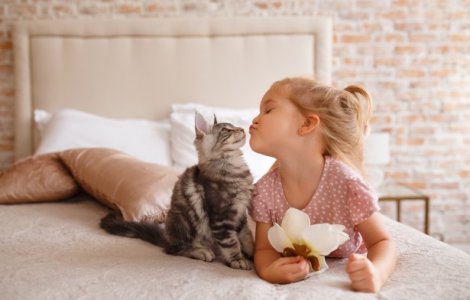 La ce să te aștepți când decizi să-ți iei o pisică