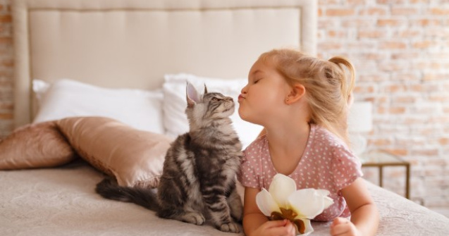 La ce să te aștepți când decizi să-ți iei o pisică