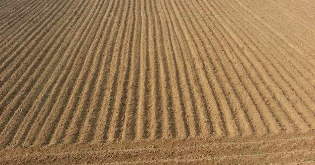 LAPAR: Chinezii nu sunt interesati de agricultura romaneasca