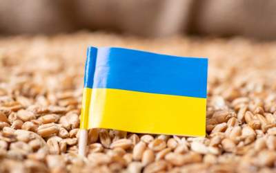 Prețul grâului a crescut...