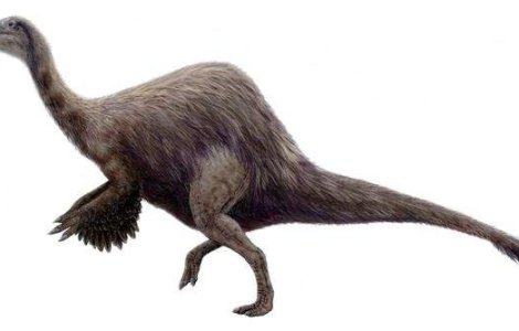 Un dinozaur misterios de marimea unui autobuz era de fapt un monstru blajin