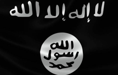 Jurnalistii americani, tintele preferate ale grupului Stat Islamic