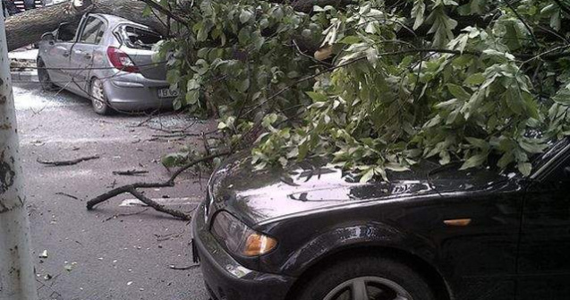 Ninsoarea si vantul au facut ravagii in Capitala: 130 de copaci doborati si 65 de masini avariate
