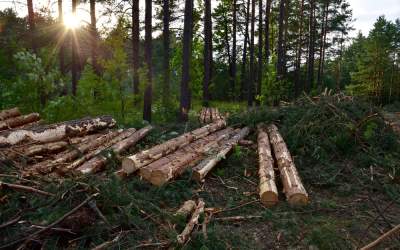 Ministrul Mediului cere...