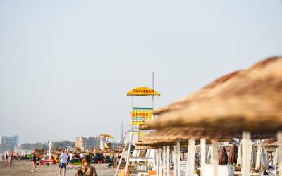 Ciolacu, apel către jandarmii...