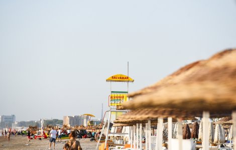 Ciolacu: „Trebuie să fie fermi în aplicarea legii. Au toată susținerea mea”