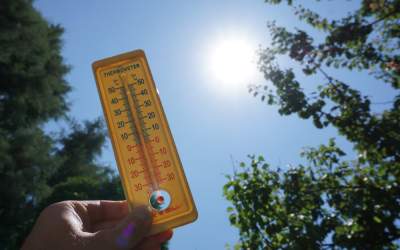 ANM: Cod portocaliu de...