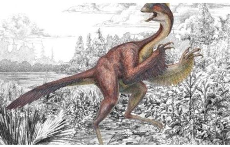  Video  Spectacolele "Jurassic Adventures" au fost ANULATE din motive tehnice