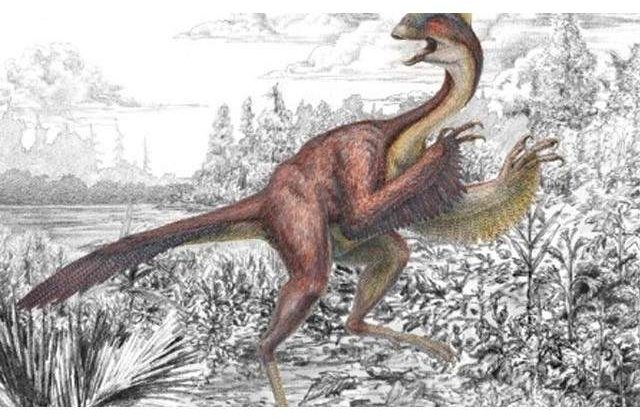 [Video] Spectacolele "Jurassic Adventures" au fost ANULATE din motive tehnice