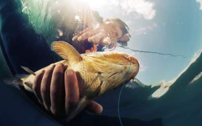 Cum se face corect o montură...