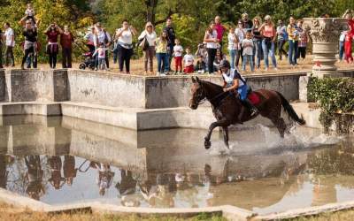 Karpatia Horse Show 2023: cea...