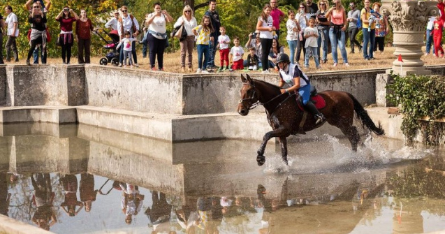 Karpatia Horse Show 2023: cea de-a opta ediție, calificativ pentru Jocurile Olimpice de la Paris!