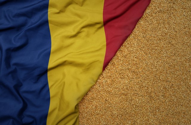 Comisia Europeană: Rom&acirc;nia, cel mai mare exportator de gr&acirc;u din UE &icirc;n primele 2 luni ale sezonului agricol 2023-2024