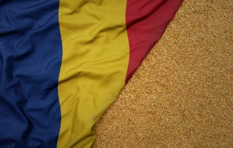 Comisia Europeană: România, cel mai mare exportator de grâu din UE în primele 2 luni ale sezonului agricol 2023-2024