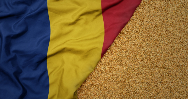 Comisia Europeană: România, cel mai mare exportator de grâu din UE în primele 2 luni ale sezonului agricol 2023-2024