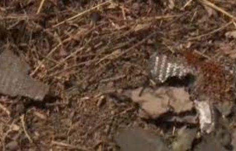 Armata a găsit noi bucăți de drone, lângă Tulcea. Zona a fost delimitată de jandarmi