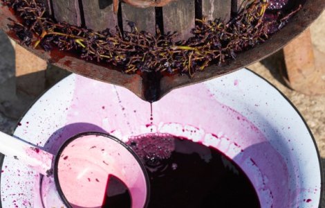 Beneficiile și contraindicațiile mustului, delicioasa băutură a toamnei