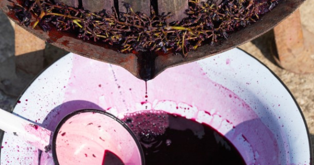 Beneficiile și contraindicațiile mustului, delicioasa băutură a toamnei