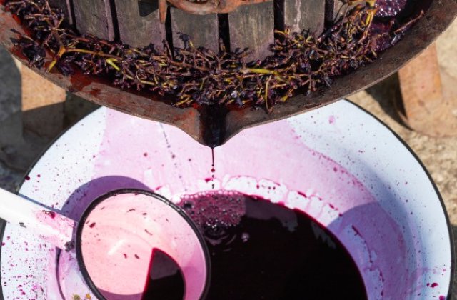 Beneficiile și contraindicațiile mustului, delicioasa băutură a toamnei