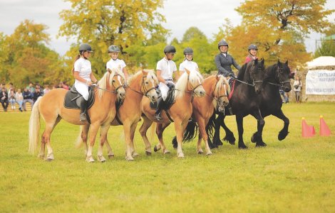 Concursul Complet Internațional de la Karpatia Horse Show, Florești, Prahova. Un prilej pentru a descoperi ce înseamnă probele clasice de echitație!