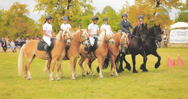 Concursul Complet Internațional de la Karpatia Horse Show, Florești, Prahova. Un prilej pentru a descoperi ce înseamnă probele clasice de echitație!