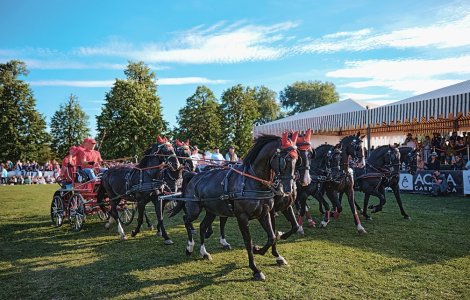 Un număr record de călăreți și cai înscriși la Karpatia Horse Show 2023