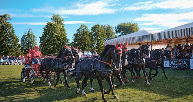 Un număr record de călăreți și cai înscriși la Karpatia Horse Show 2023