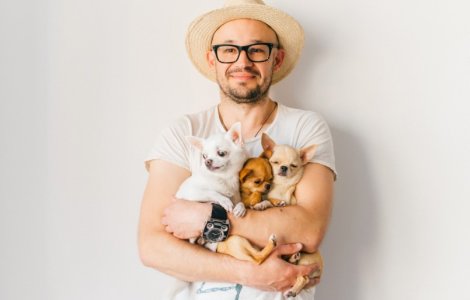 Care sunt rasele de câini pe care le poți crește fără probleme dacă locuiești într-un apartament