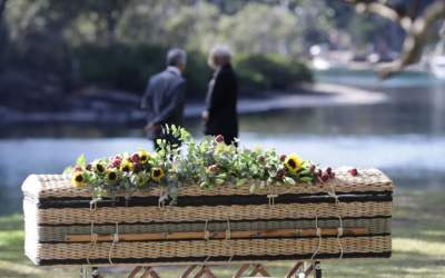 Ce servicii oferă o agenție...