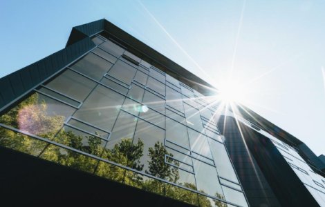 Patru valori care pot defini companiile viitorului