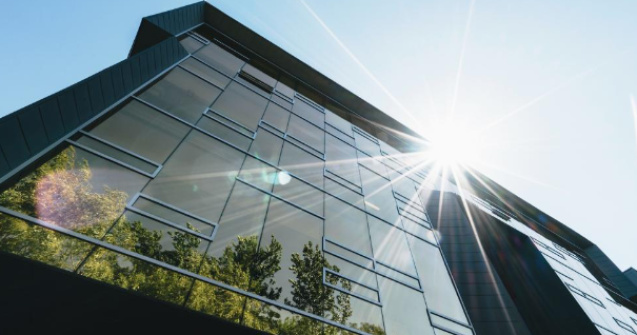 Patru valori care pot defini companiile viitorului