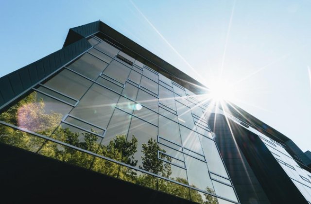 Patru valori care pot defini companiile viitorului