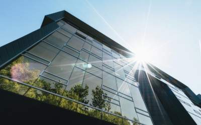 Patru valori care pot defini...