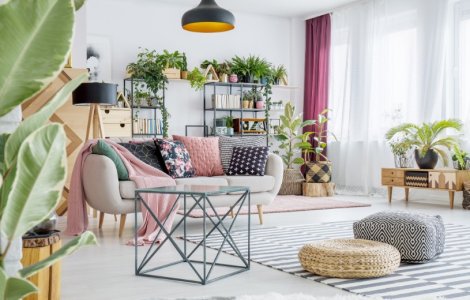 Cine are grijă de plante când pleci 3 săptămâni în vacanță? Ai nevoie doar de acest produs unic!