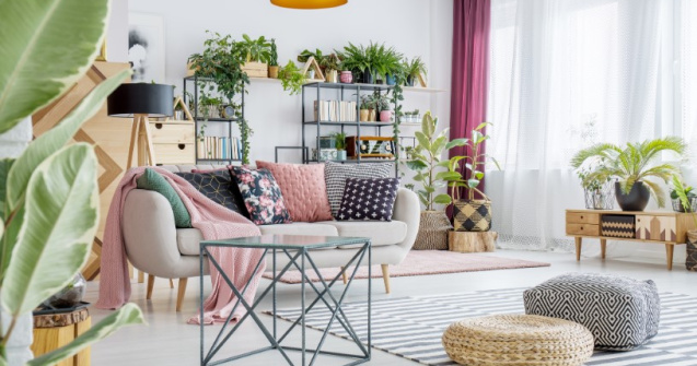 Cine are grijă de plante când pleci 3 săptămâni în vacanță? Ai nevoie doar de acest produs unic!