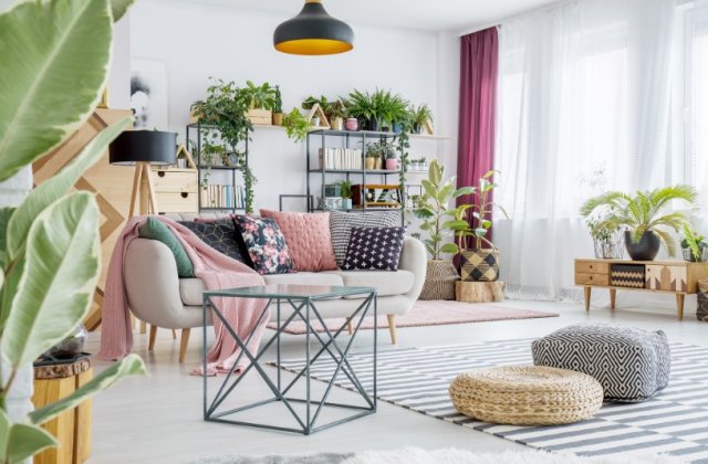 Cine are grijă de plante c&acirc;nd pleci 3 săptăm&acirc;ni &icirc;n vacanță? Ai nevoie doar de acest produs unic!