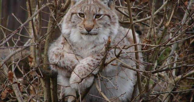 Campania "Arca lui Noe" continua cu o expozitie de fotografie