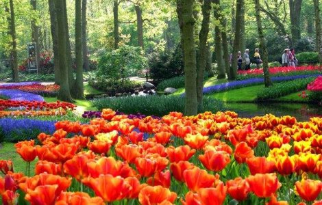 Gradina terapeutica, inaugurata la un spital de psihiatrie din judetul Arad