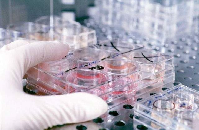 Primul vaccin contra HEPATITEI C, conceput de o companie britanica