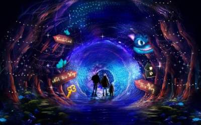 Număr impresionant de...