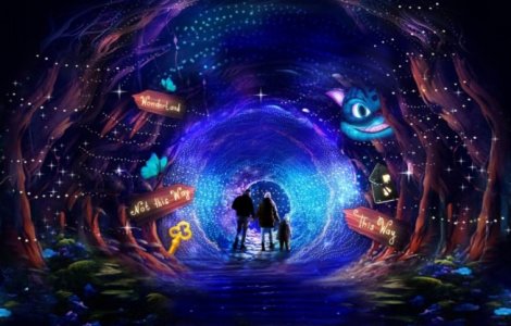 Număr impresionant de vizitatori la expoziția „Grădina Luminilor” organizată în Grădina Botanică „Dimitrie Brandza” a Universității din București