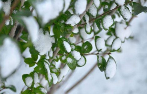  Top  Top 10 Alimente EXCELENTE pentru perioada iernii