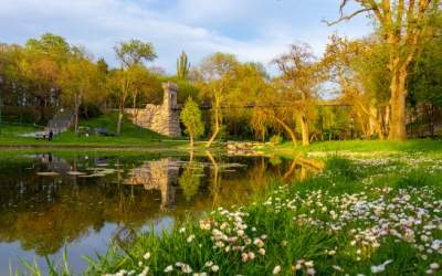 Ce e bine să știi dacă vrei...