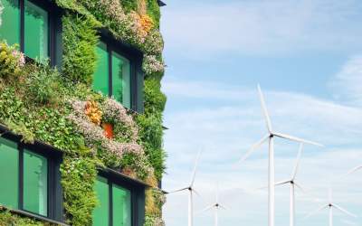 În ce mod opțiunile...