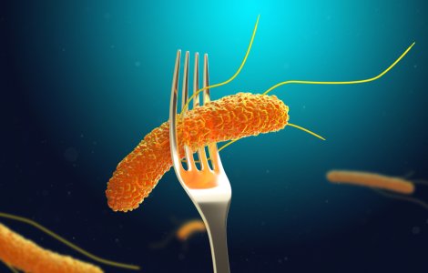 Ce trebuie să știi despre infecția cu Salmonella