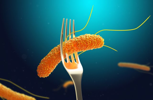 Ce trebuie să știi despre infecția cu Salmonella